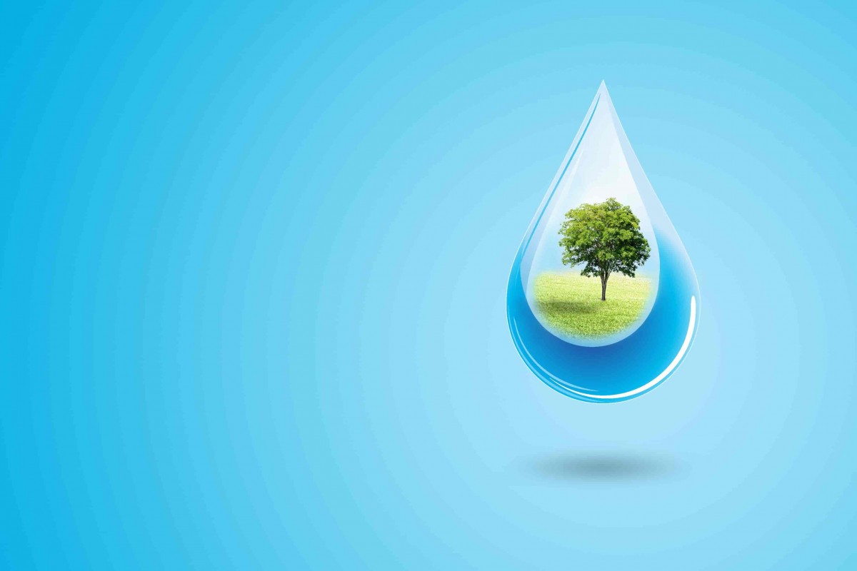 distributeur eau ecologie